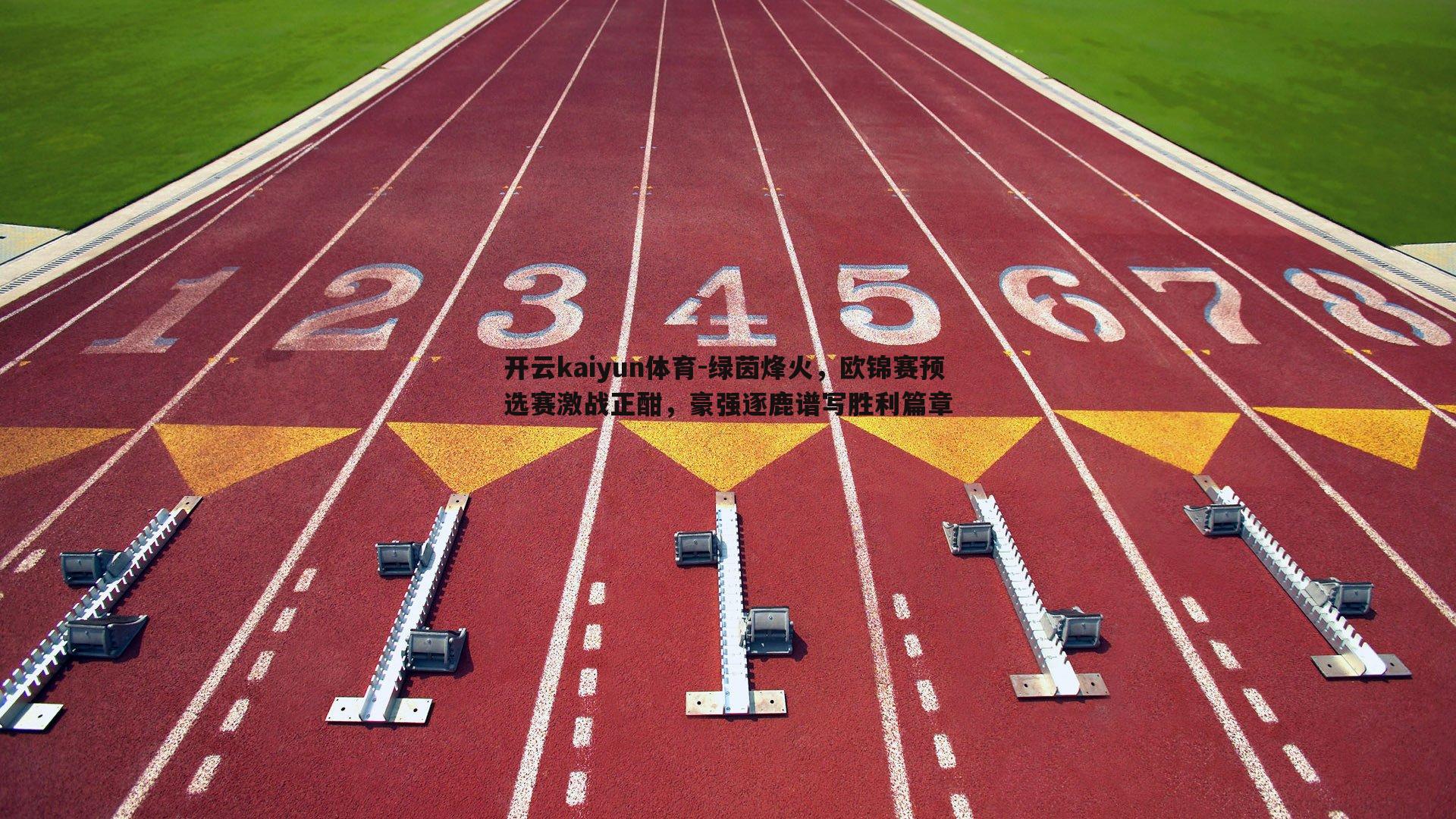 绿茵烽火，欧锦赛预选赛激战正酣，豪强逐鹿谱写胜利篇章